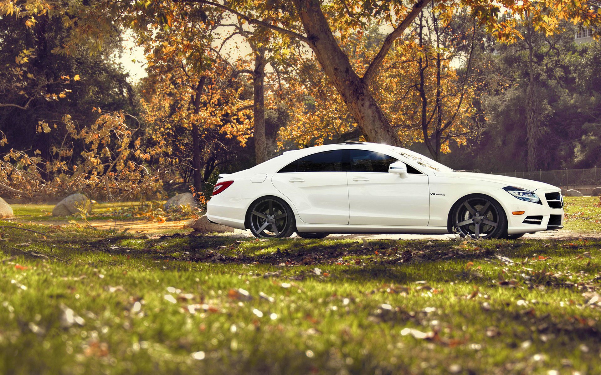 тюнинг природа mercedes benz cls мерседес