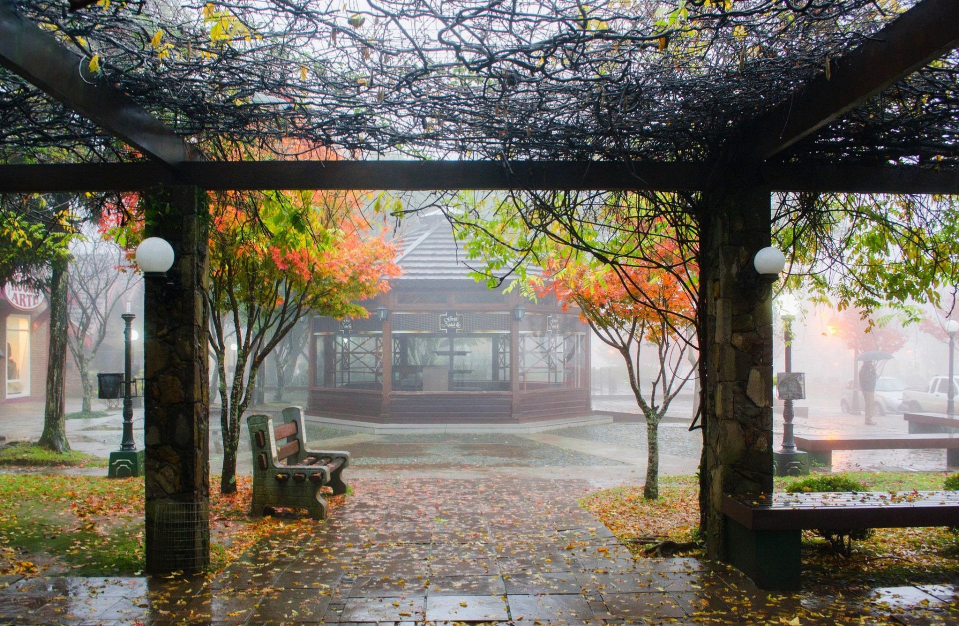 ciudad lluvia otoño banco banco