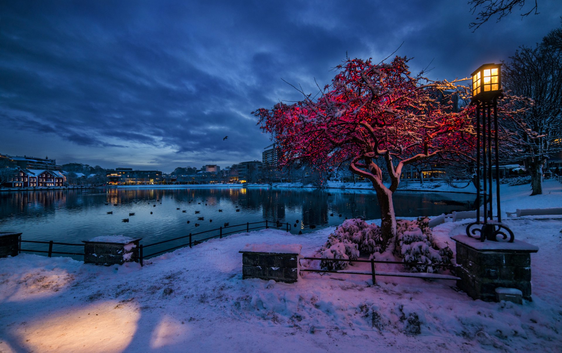 norvegia rugalann stavanger inverno neve sera crepuscolo luci lanterna