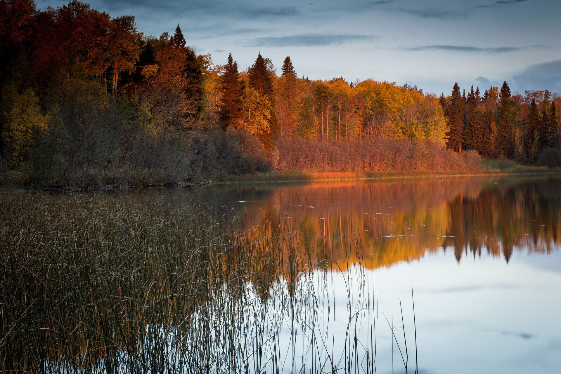 природа лес осень река