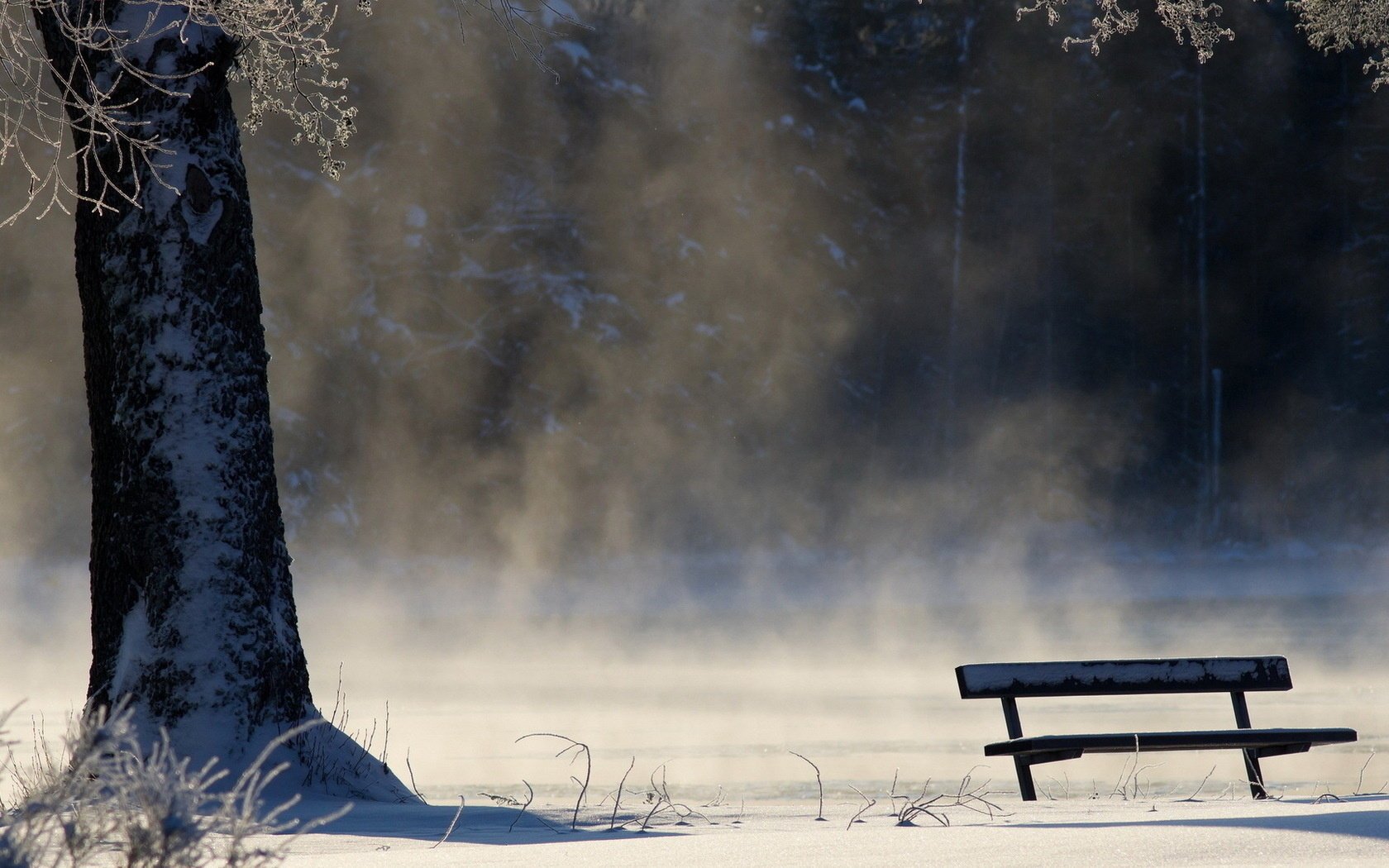 winter bank nebel