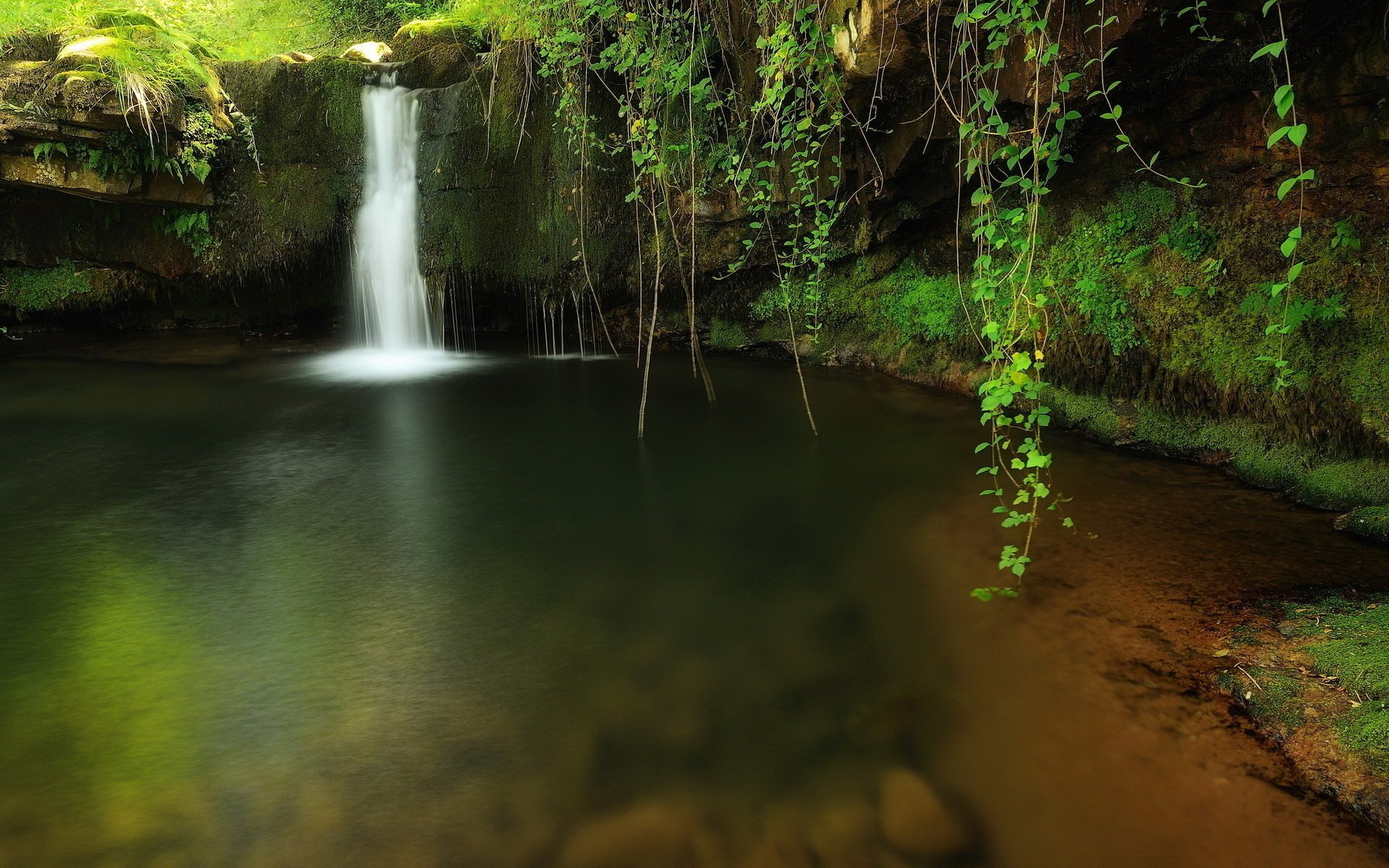 forest waterfall stream nature