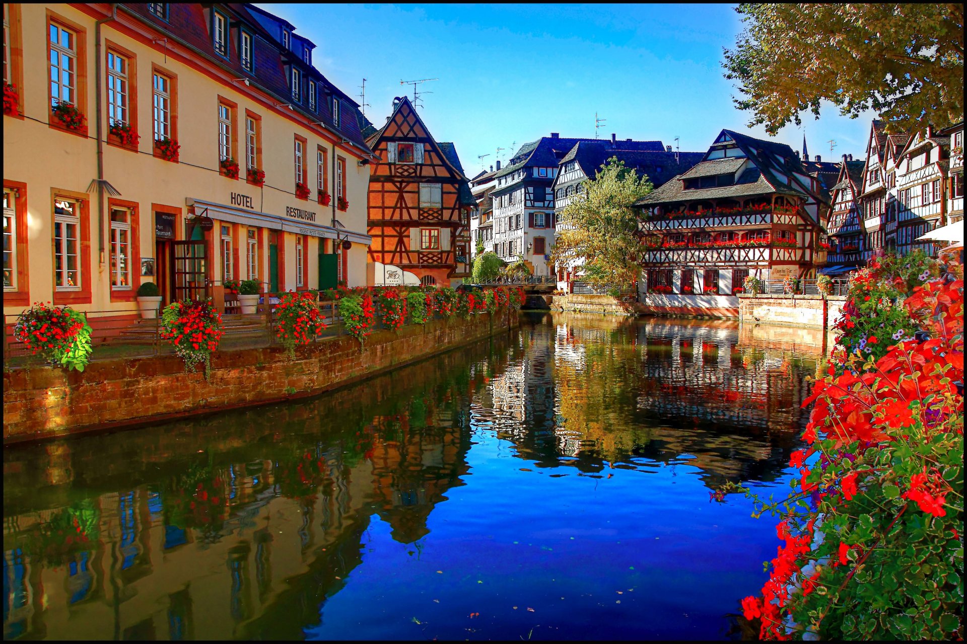 trasbourg straßburg france river ile shore embankment flower house hotel reflection