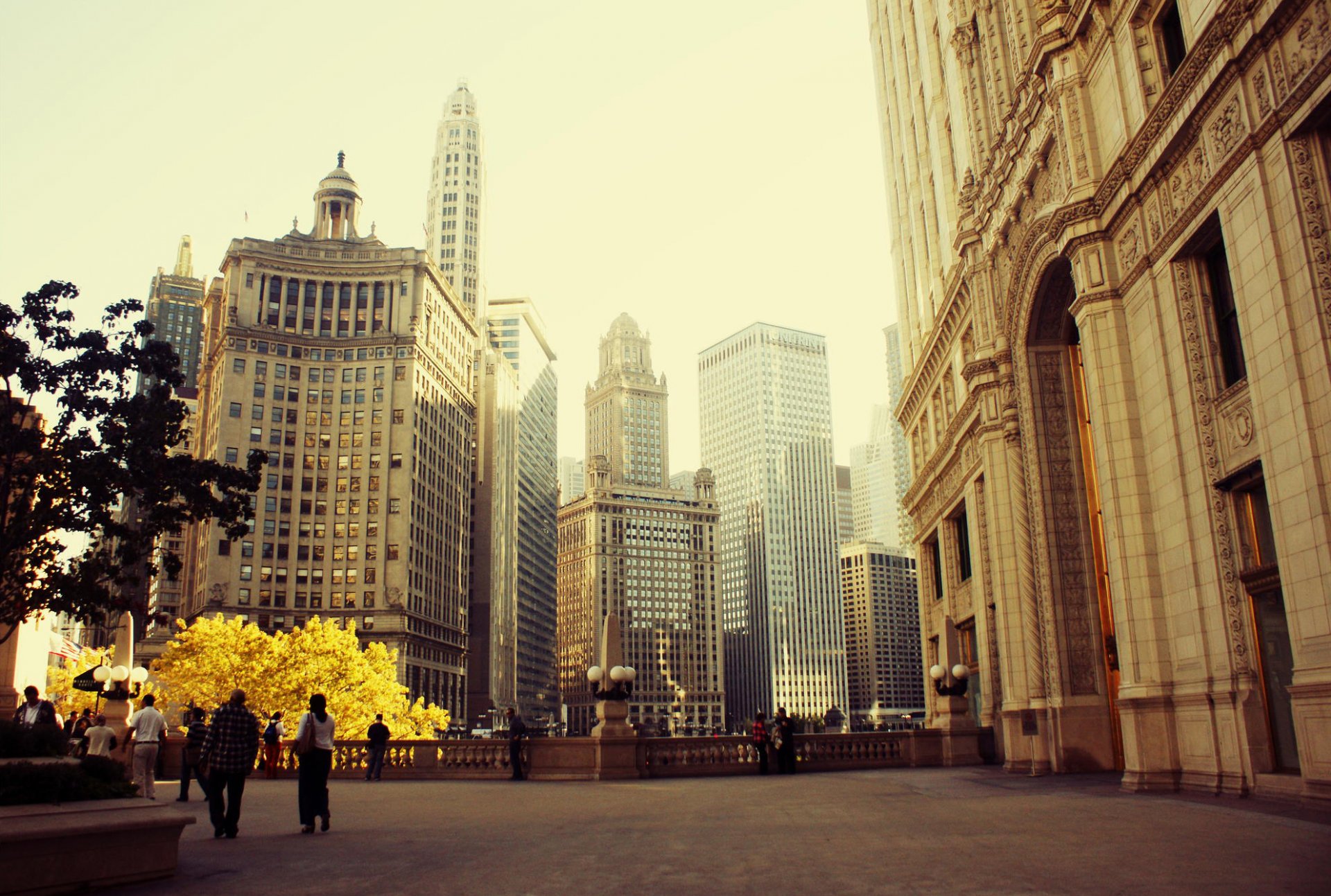 chicago illinois town skyscraper spring