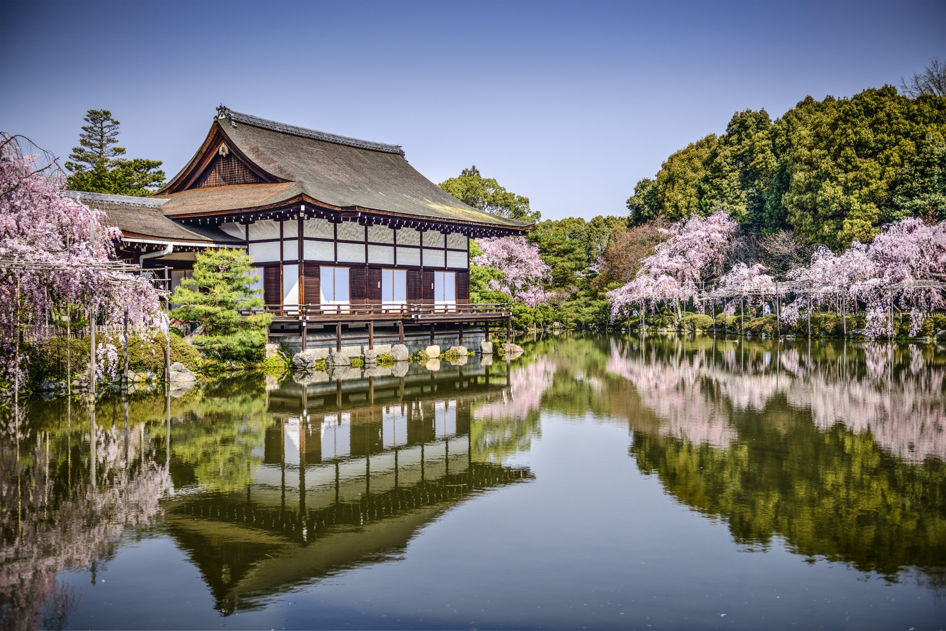 heian jingu kyoto giappone tempio di heian kyoto lago stagno primavera parco alberi sakura riflessione