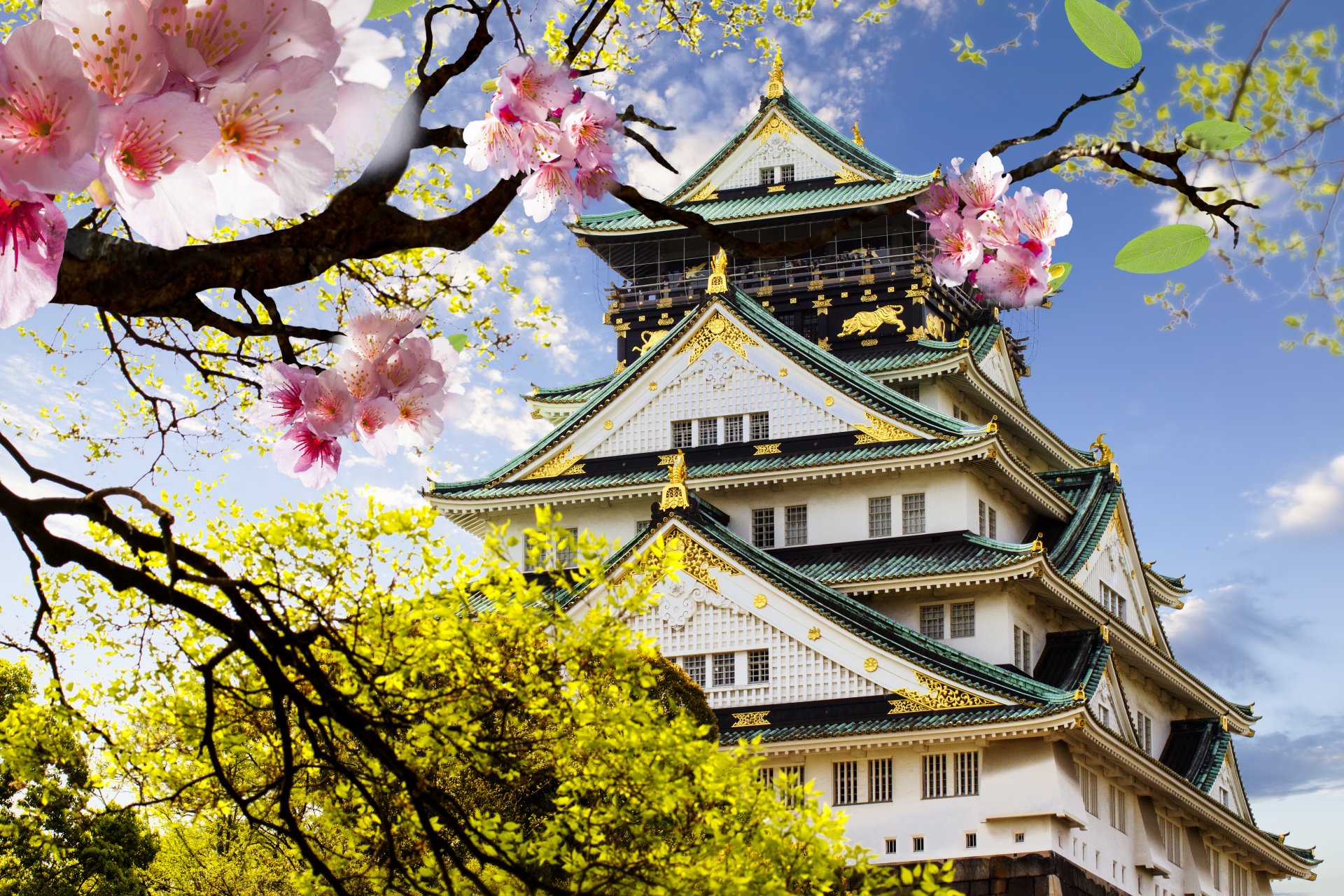 schloss japanisch japanisch japan sakura blüte