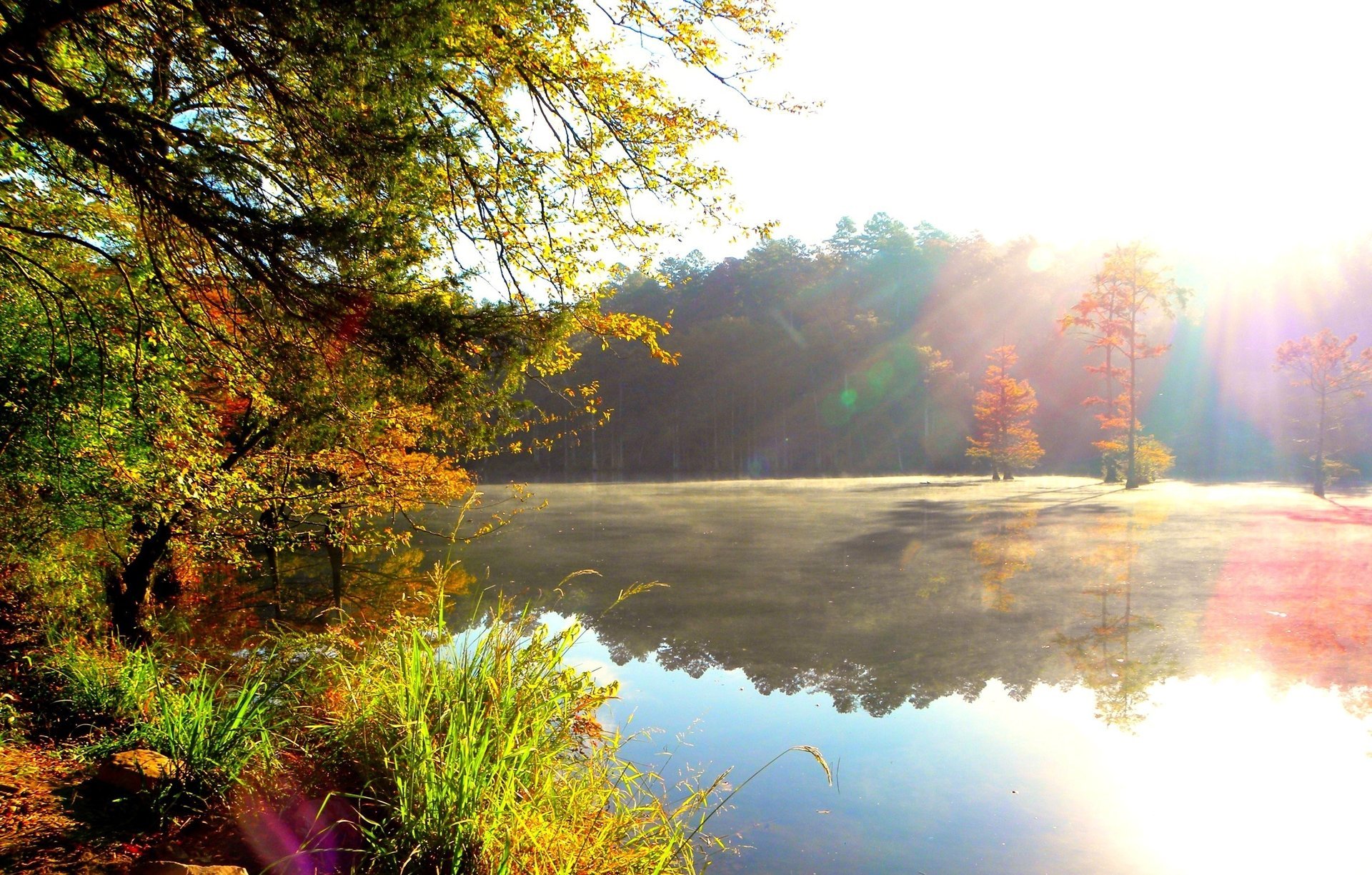 rivière nature brume forêt soleil matin rayons rivages