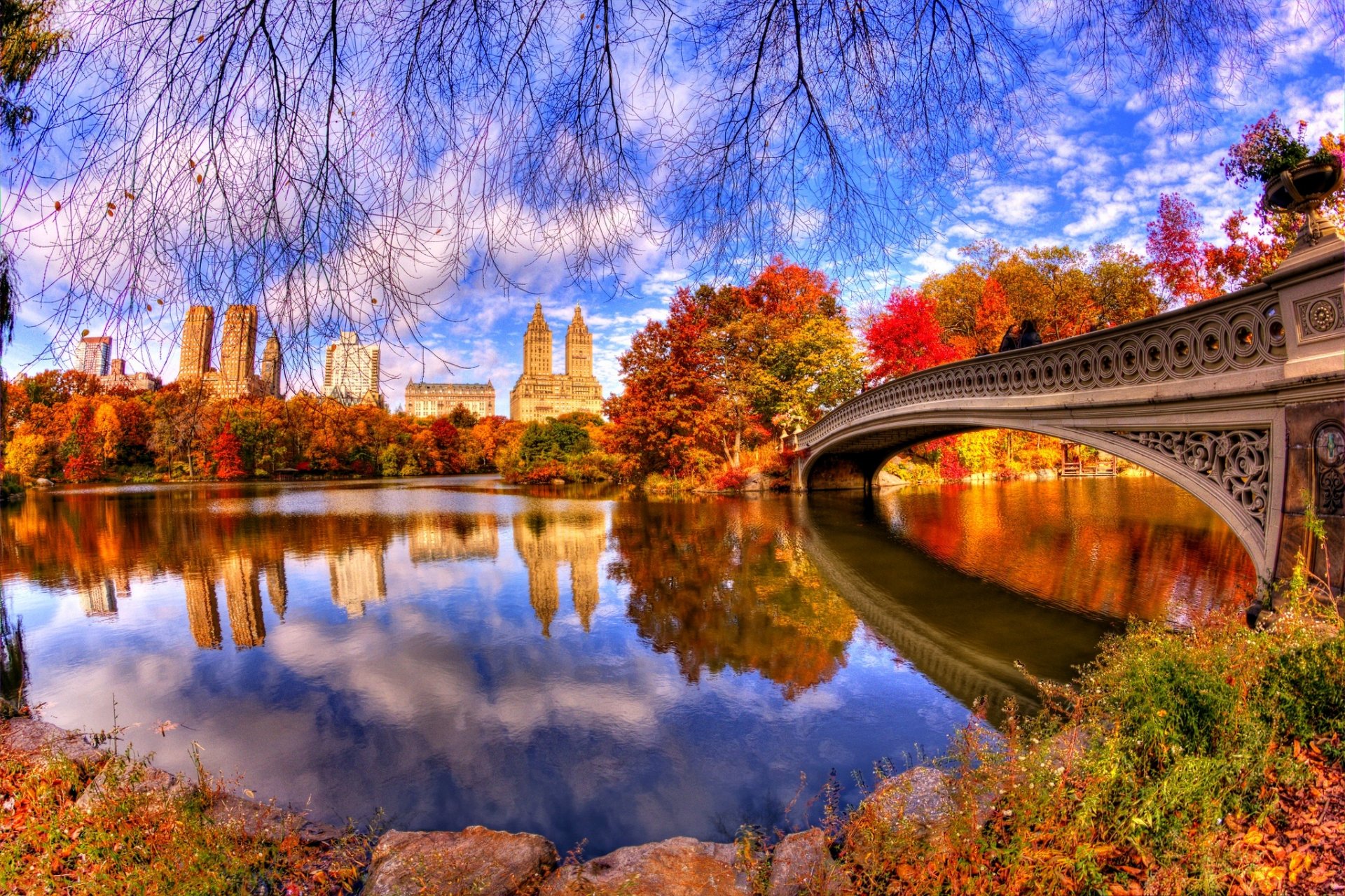 autunno natura parco alberi foglie acqua ponte riflessione architettura central park vista passeggiata architettura