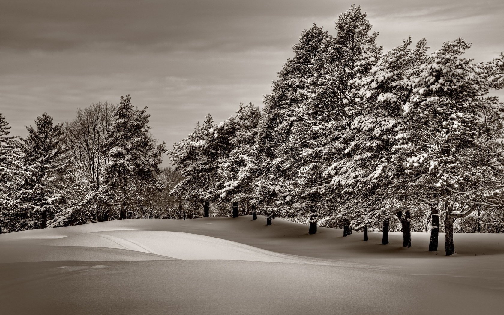 winterlandschaft winter schnee