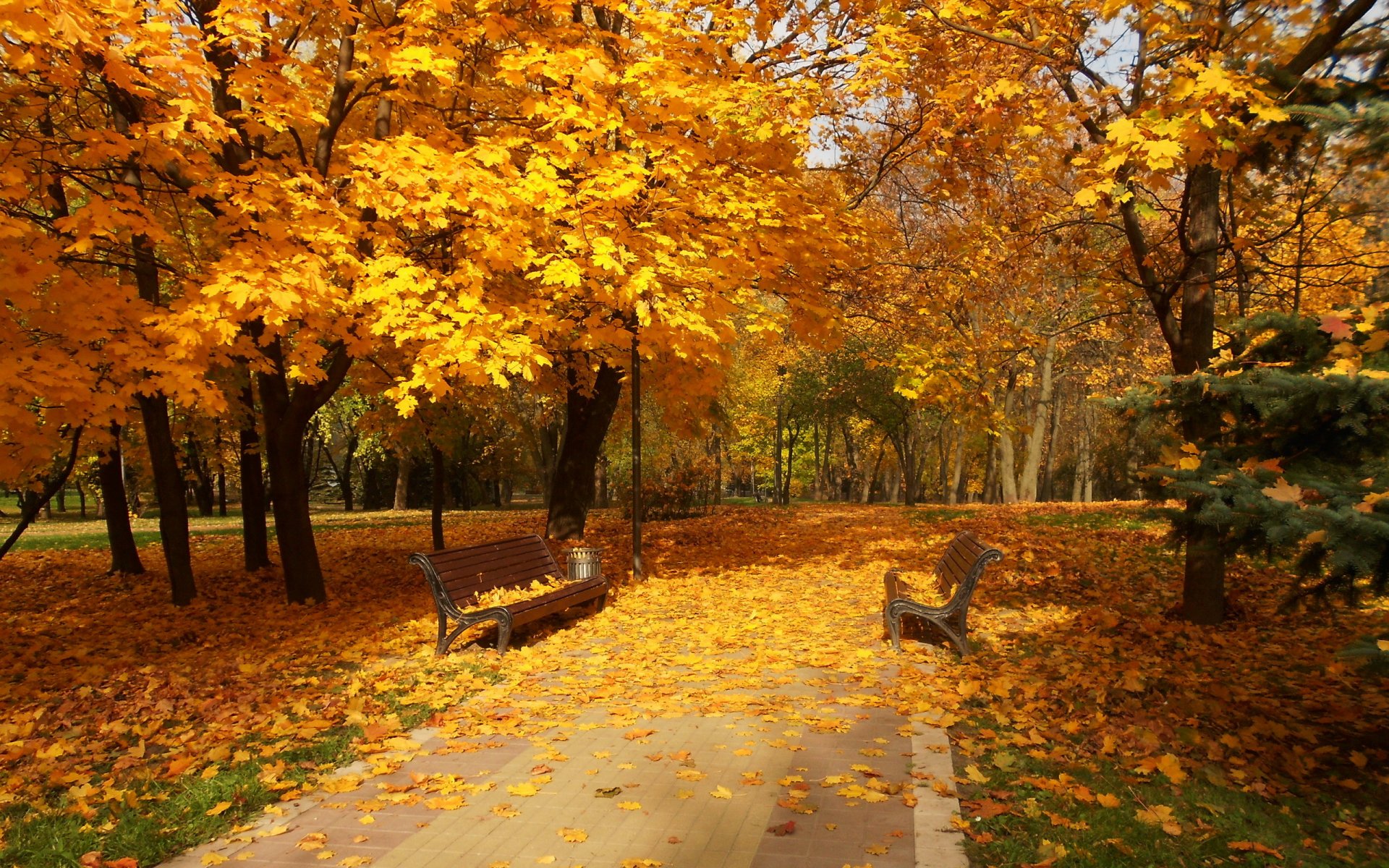 ciudad parque otoño