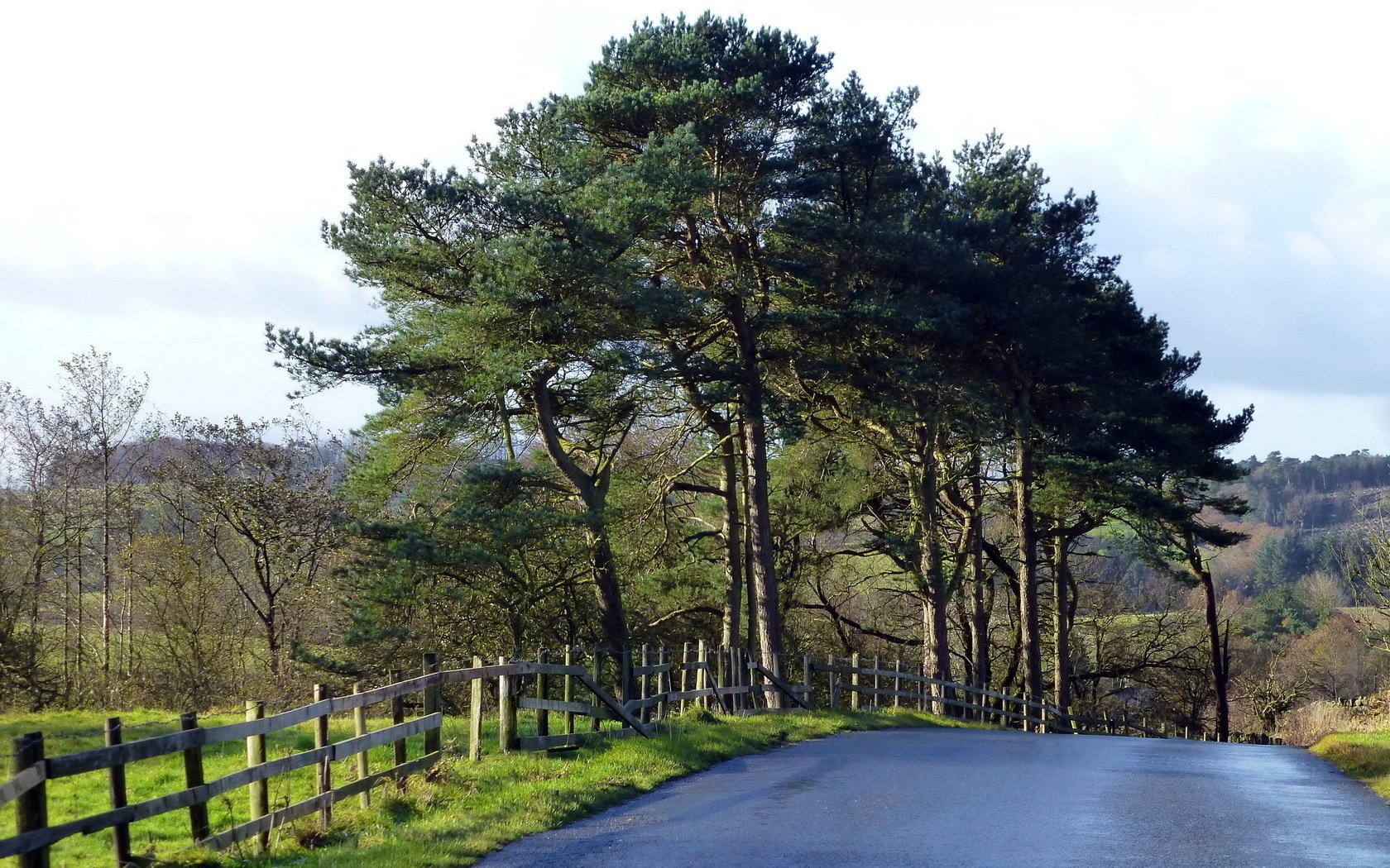 zaun straße landschaft