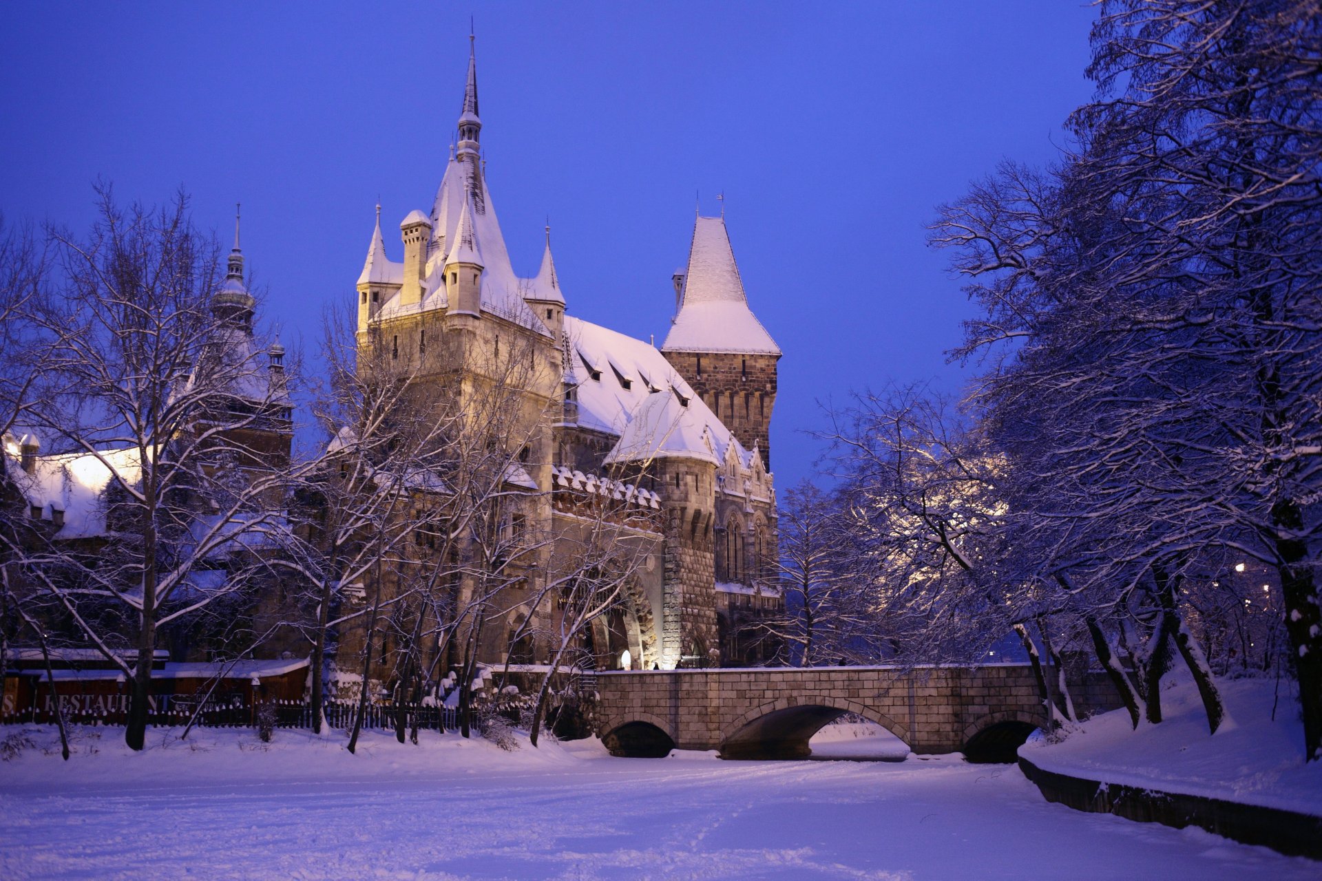 castillo hungría invierno vaidahunyad budapest nieve ciudad foto