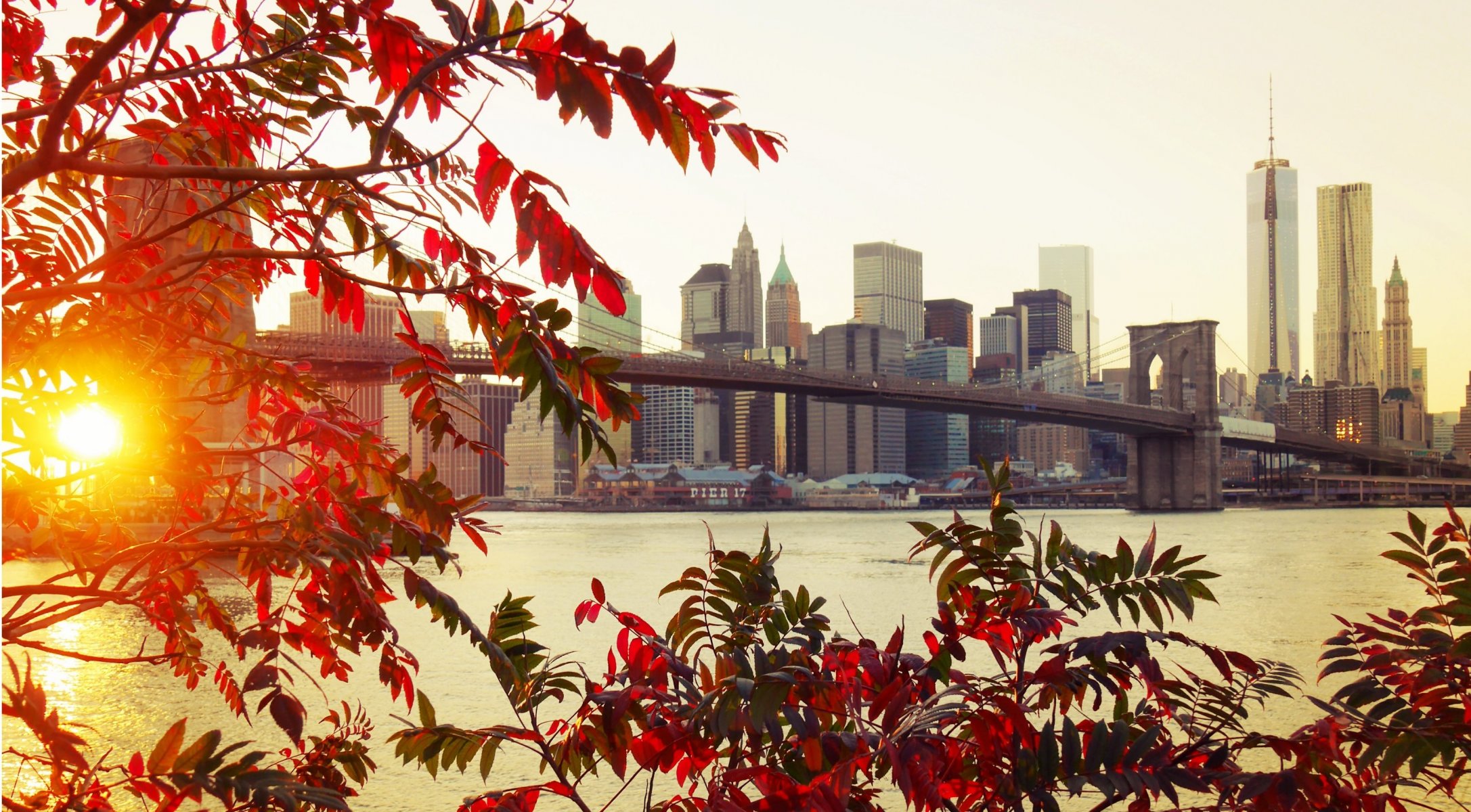 new york brooklyn città ponte autunno foglie