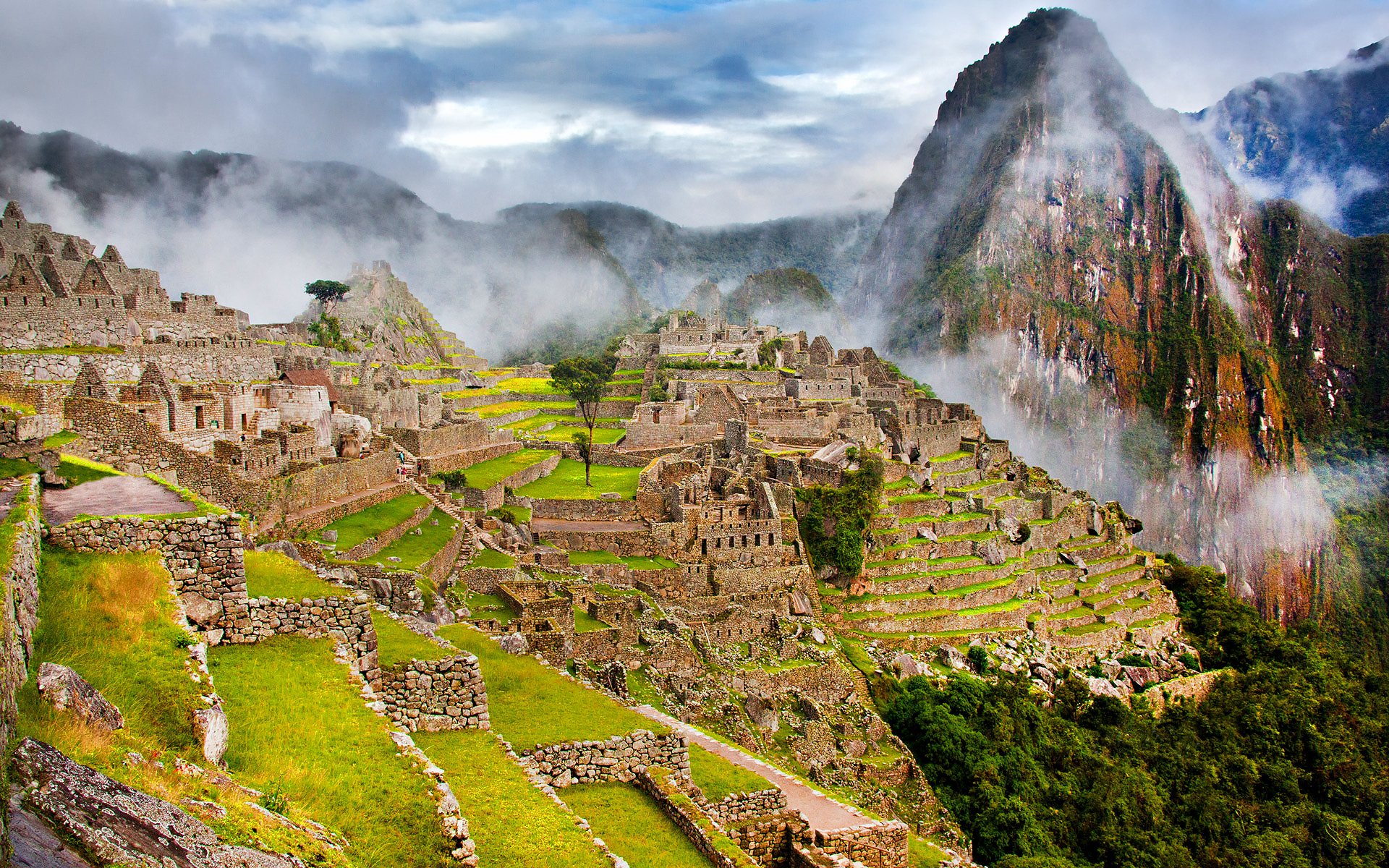 pérou ville machu picchu ruines montagnes pentes brouillard