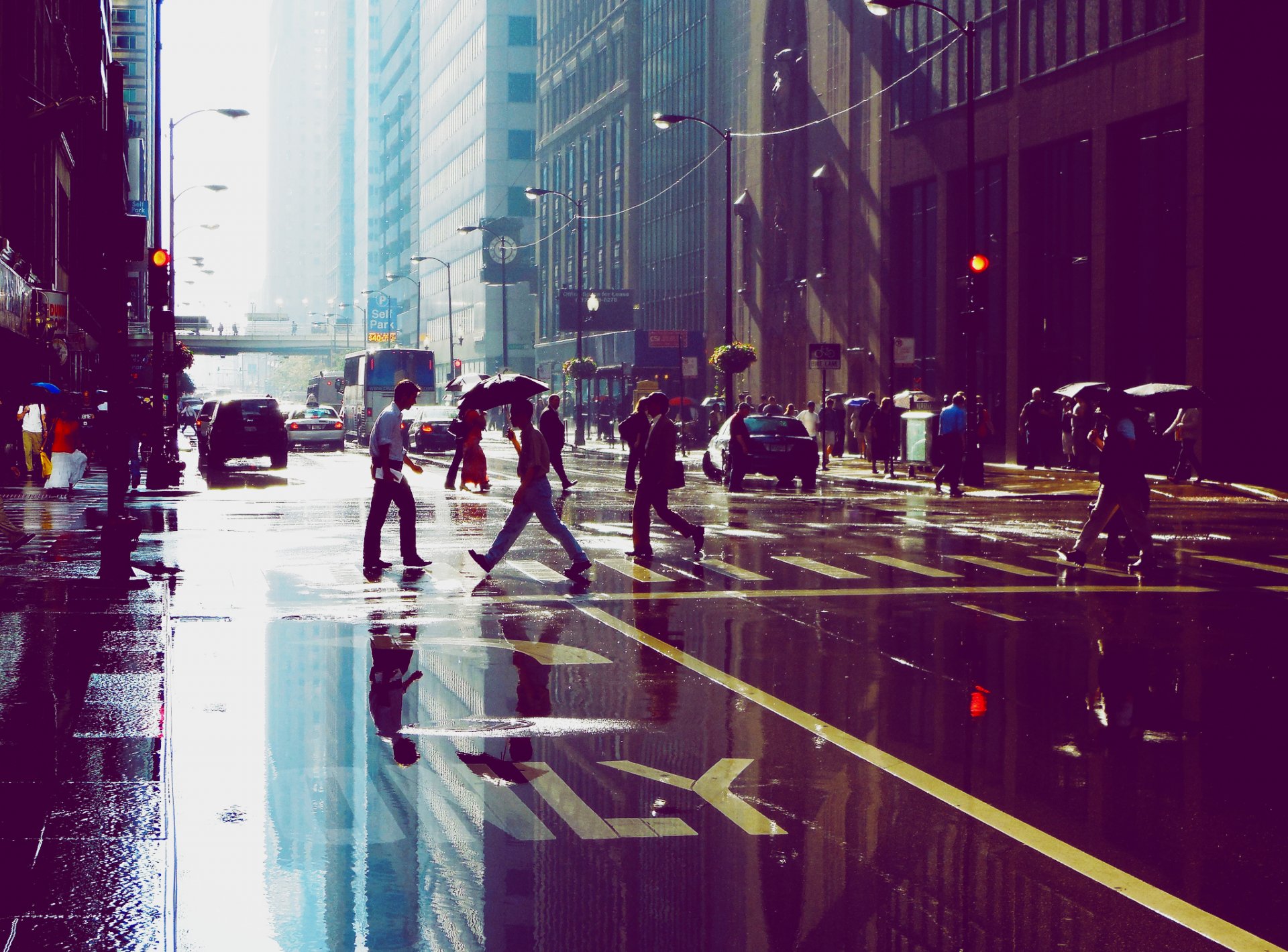 chicago wolkenkratzer gebäude menschen straße pfütze reflexion