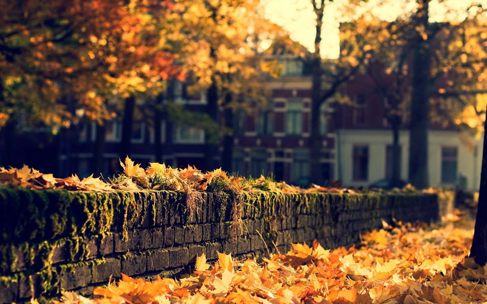 città autunno strada