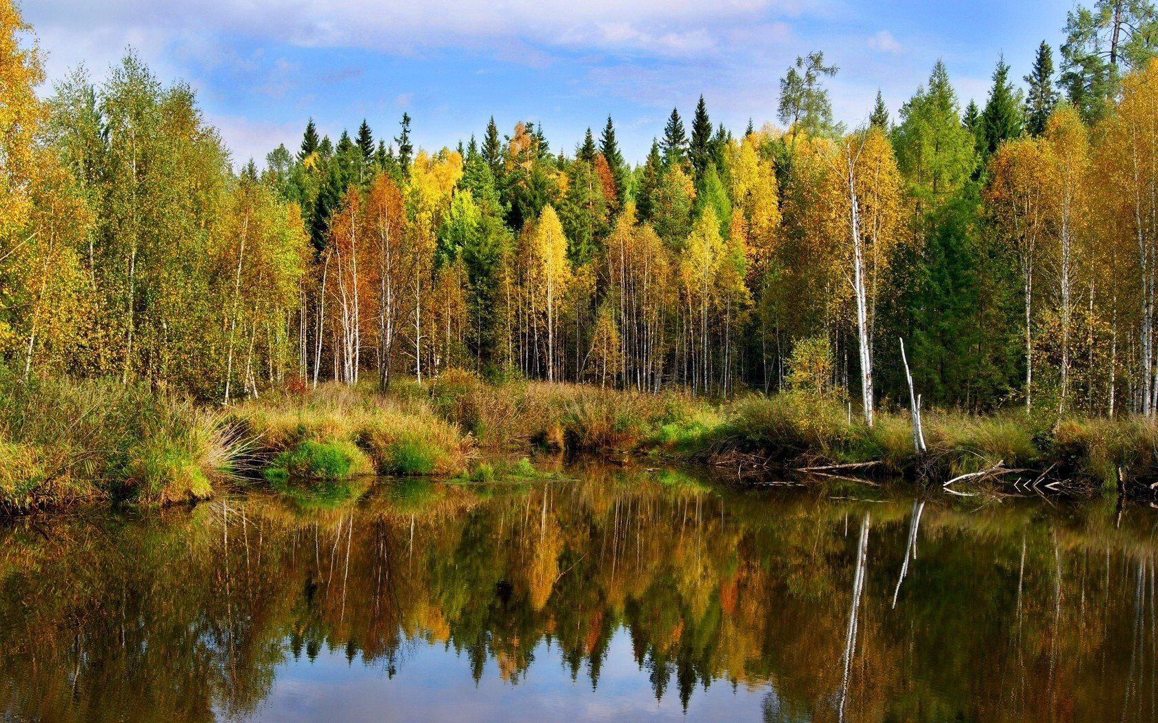 пейзаж осень пруд лес