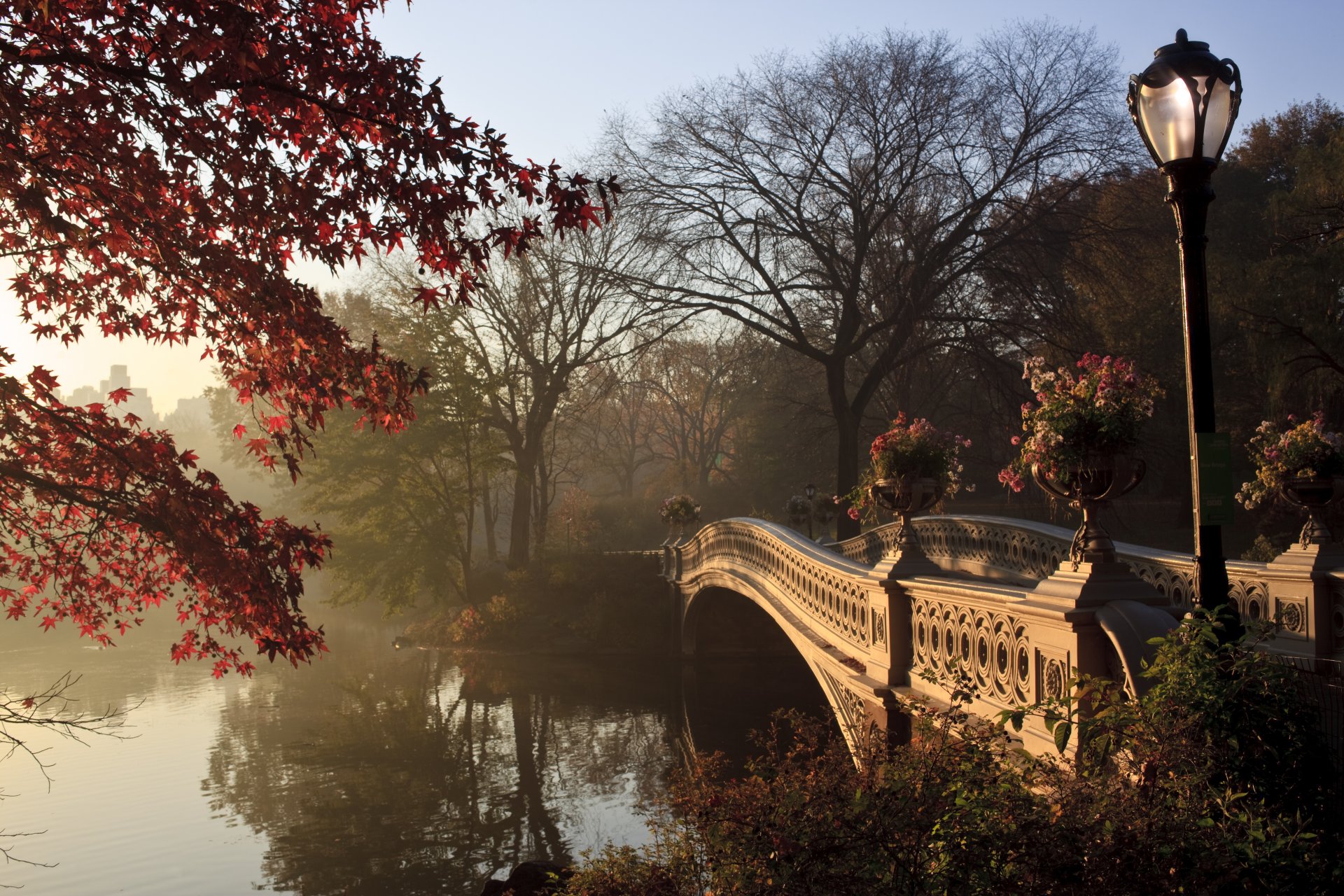 new york central park arbre d automne arbres pont lampadaire lampes nature paysage lac lanterne