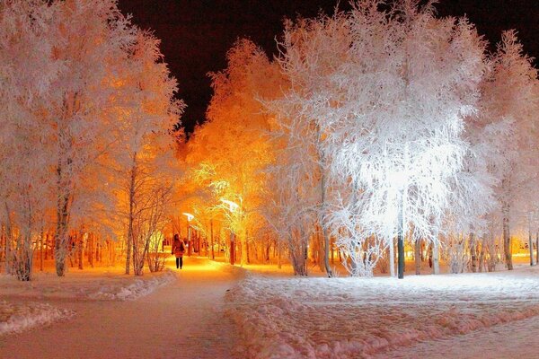 Зимняя аллея искрится в свете ночных фанарей