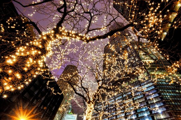 Trees with garlands in Chicago