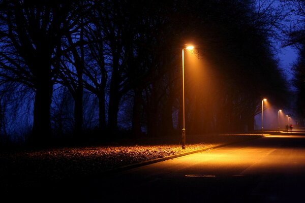 Nuit sombre parc dans la ville