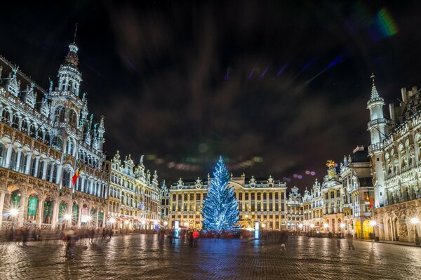 Choinka na placu w nocnej Brukseli