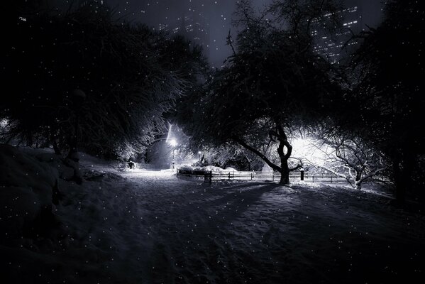 Snow-covered Central Park Manhattan