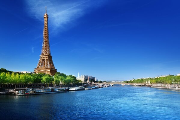 Blick auf den Eiffelturm von der Seine aus