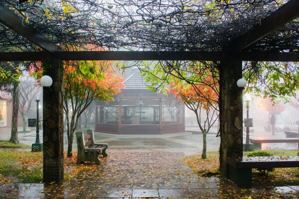 Regnerisches Wetter im Herbst in der Stadt