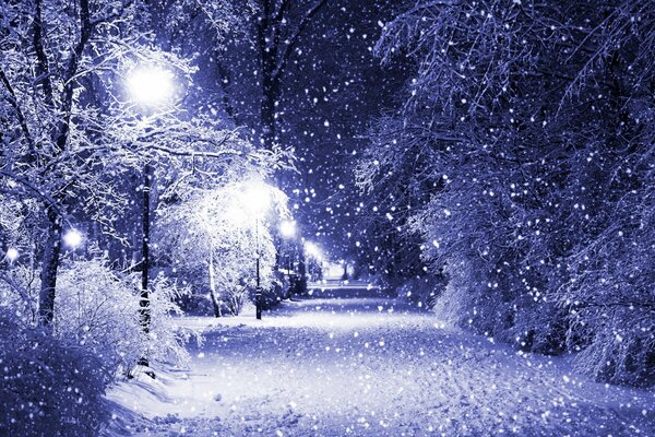 At night in the park in winter snow and lanterns