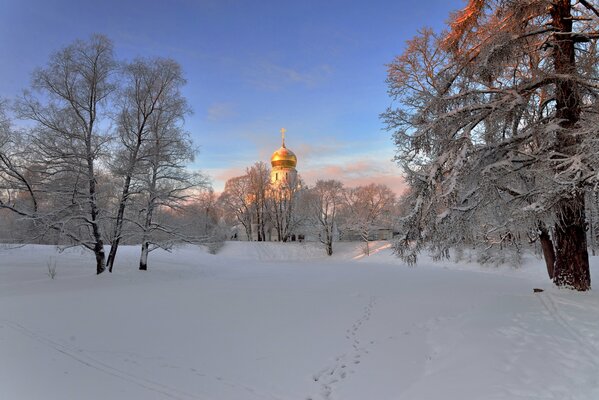 Der Tempel am Morgen im Winter in St. Petersburg