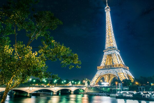 Der Eiffelturm in der Nacht von Paris