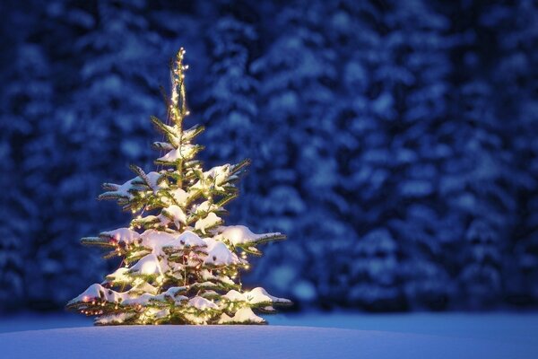 Mit einer Girlande geschmückter Weihnachtsbaum