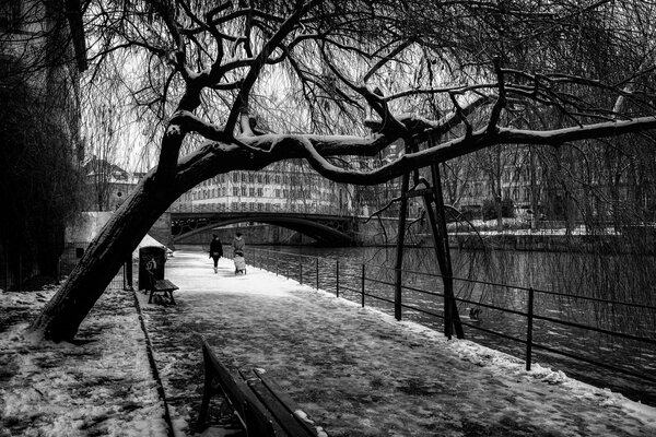 Francia, Strasburgo neve e passanti BN