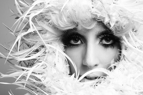 Lady Gaga loves extraordinary images