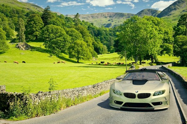 BMW roule sur la route entre les montagnes et les arbres