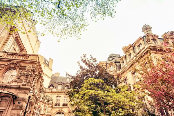 Casas parisinas de primavera en Francia