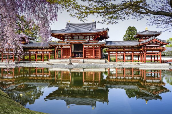 Ein Tempel in Japan am Ufer eines Teiches