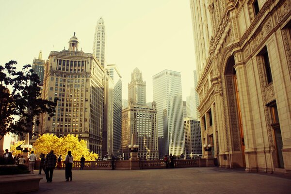 Spring skyscrapers of Chicago