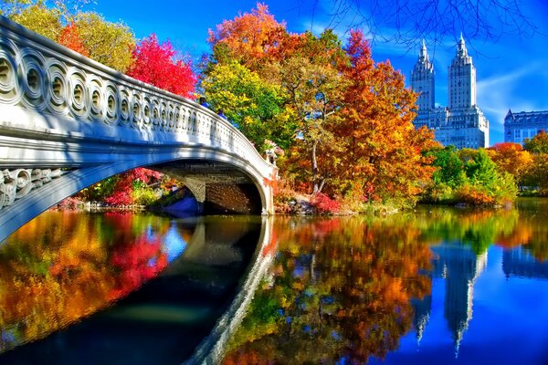 Herbstlandschaft von New York mit Brücke über den Fluss. Bunte Blätter und blauer Himmel in New York