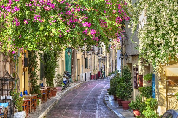 Beautiful photo of a street with flowers