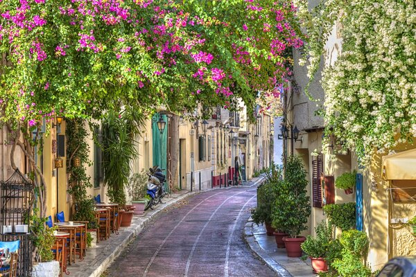 Belle photo de rue avec des fleurs