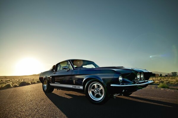 Ein wunderbarer Mustang, auf dem ich in den Sonnenuntergang fahren möchte