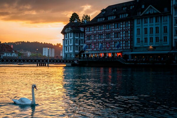 Maison en Suisse dans l eau du cygne