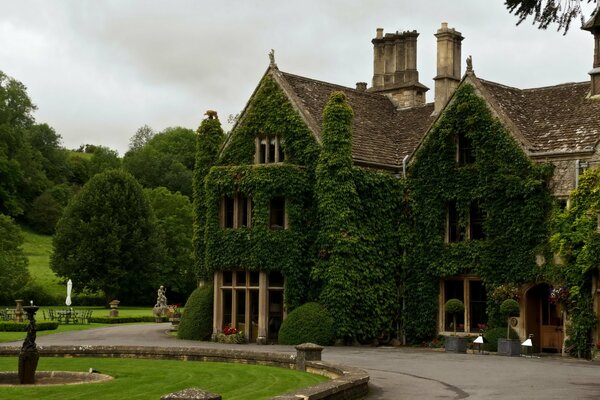 A residential building covered with ivy, surrounded by greenery