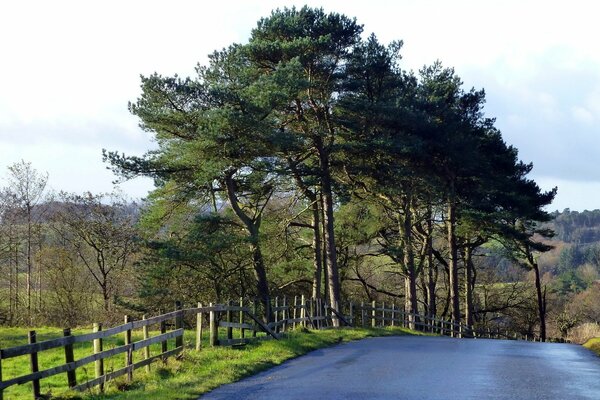 Camino a Dol seto con un hermoso paisaje