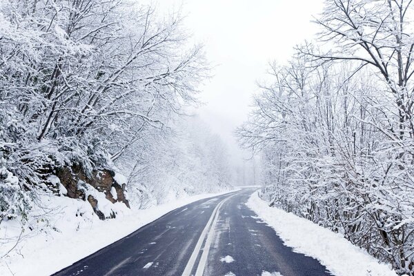 Strada invernale sullo sfondo di alberi innevati