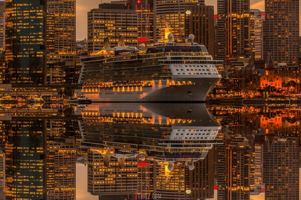 Cruise ship in Sydney Lights