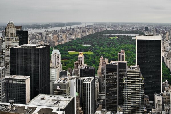 Central Park and skyscrapers in the USA