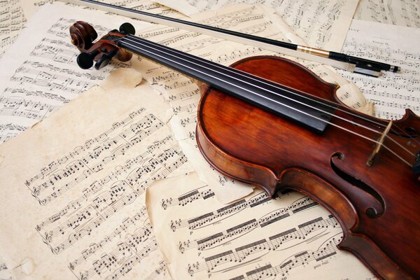 Violino e arco che giace sulle note